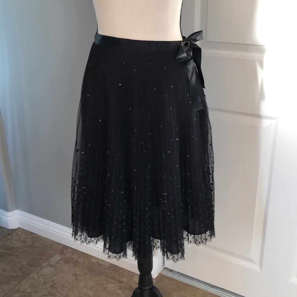 Beautiful Express tea length skirt